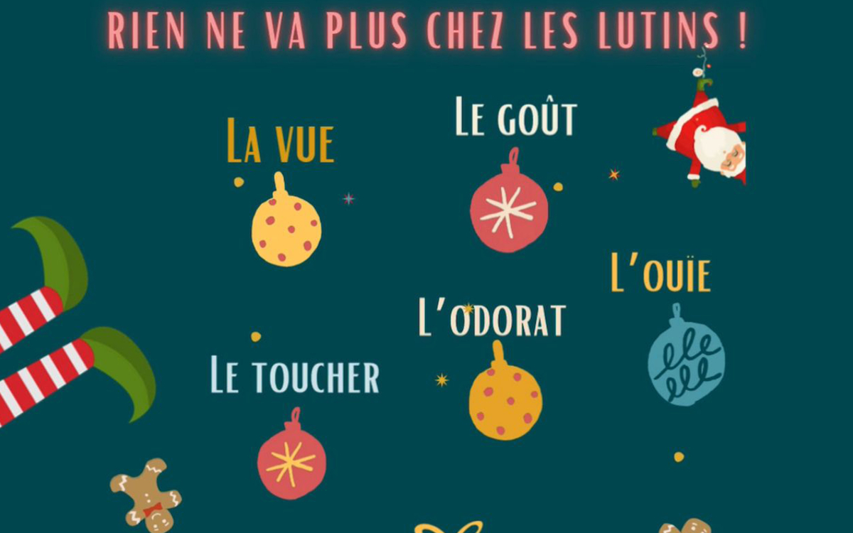 Les lutins ont perdu leurs sens : la vue, le goût, le toucher, l'odorat, l'ouïe. Venez les aider à les retrouver !