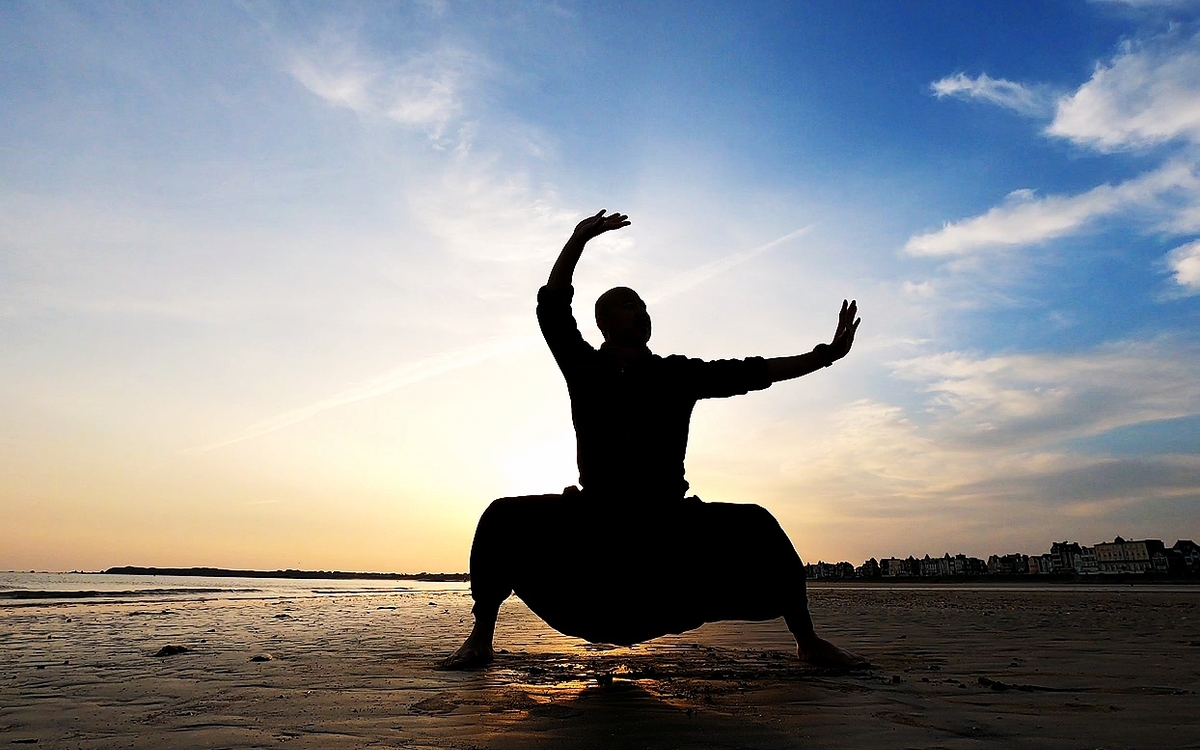 Découverte du Tai Chi Kung Fu pour recharger une belle énergie - Démonstration et initiation par M. CHEN Yi-rhe