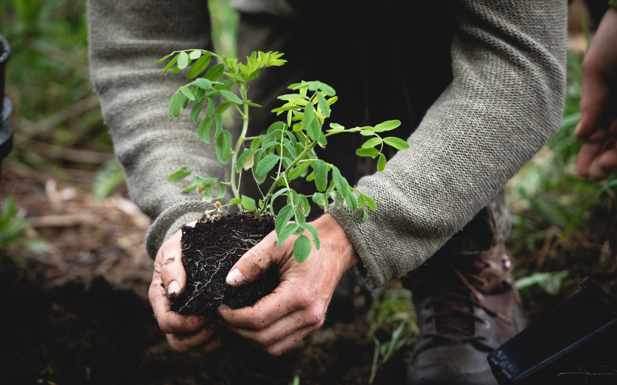 Personne s'adonnant au plaisir de la permaculture. 