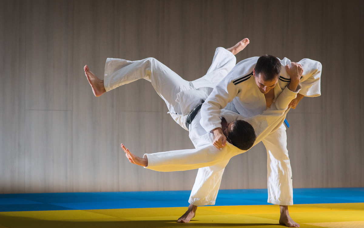 Prise de judo 