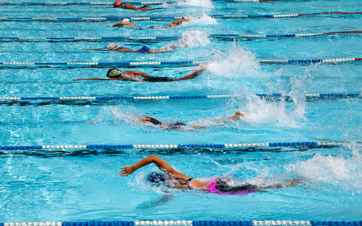 Nageurs dans une piscine.