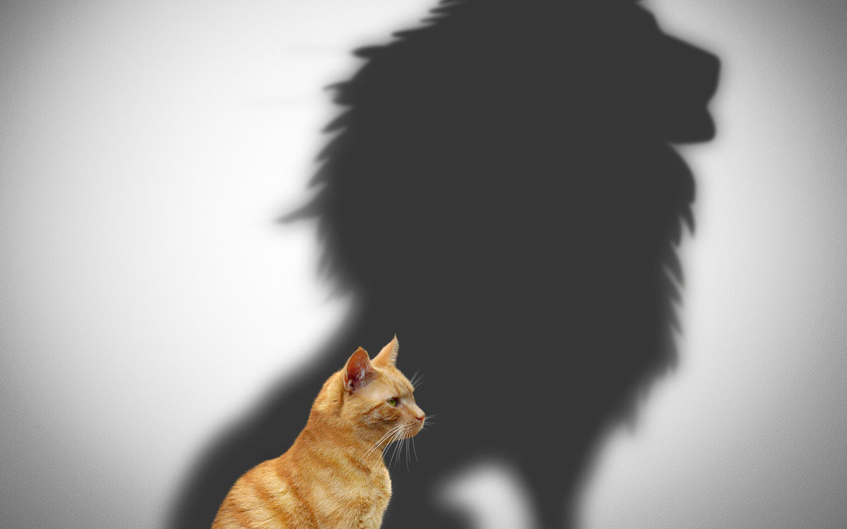 Venez faire grandir votre confiance en vous pendant notre Stage de prise de parole en public !