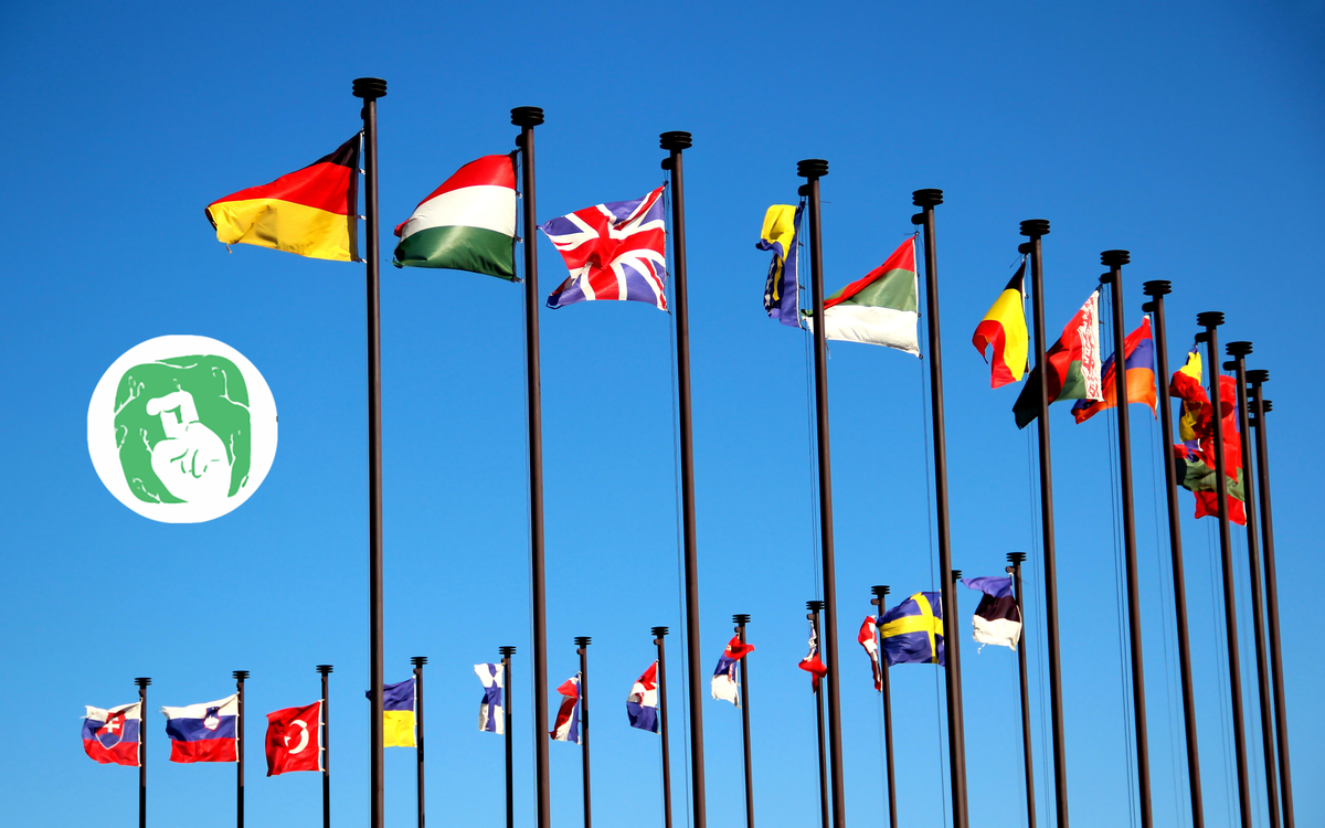 Drapeaux en hémicycle représentant tous les pays