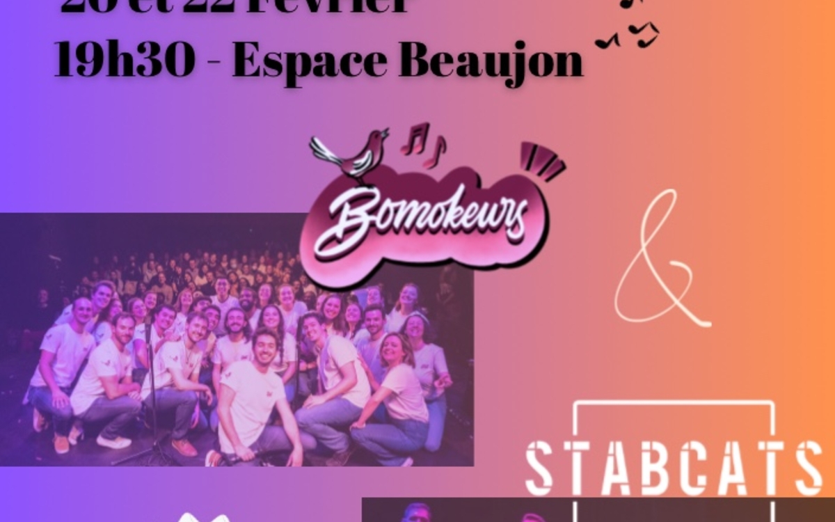 Affiche des Bomokeurs Stabcats pour leur concert les 20 & 22 février à 19H30