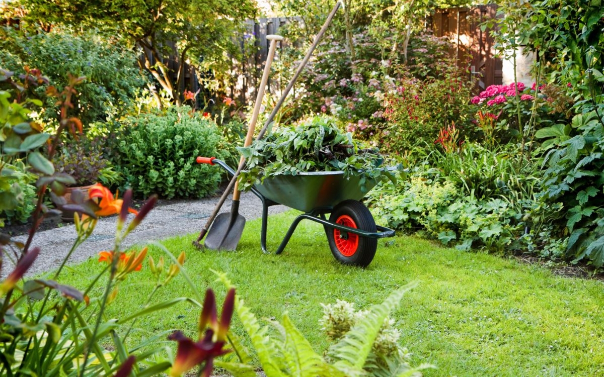 une brouette avec des outils de jardinage au milieu de la verdure