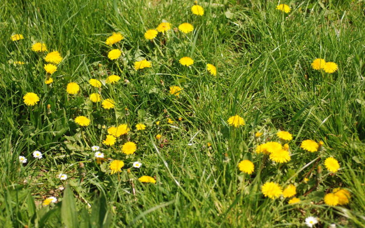 11-04_Christophe_Noel_preview