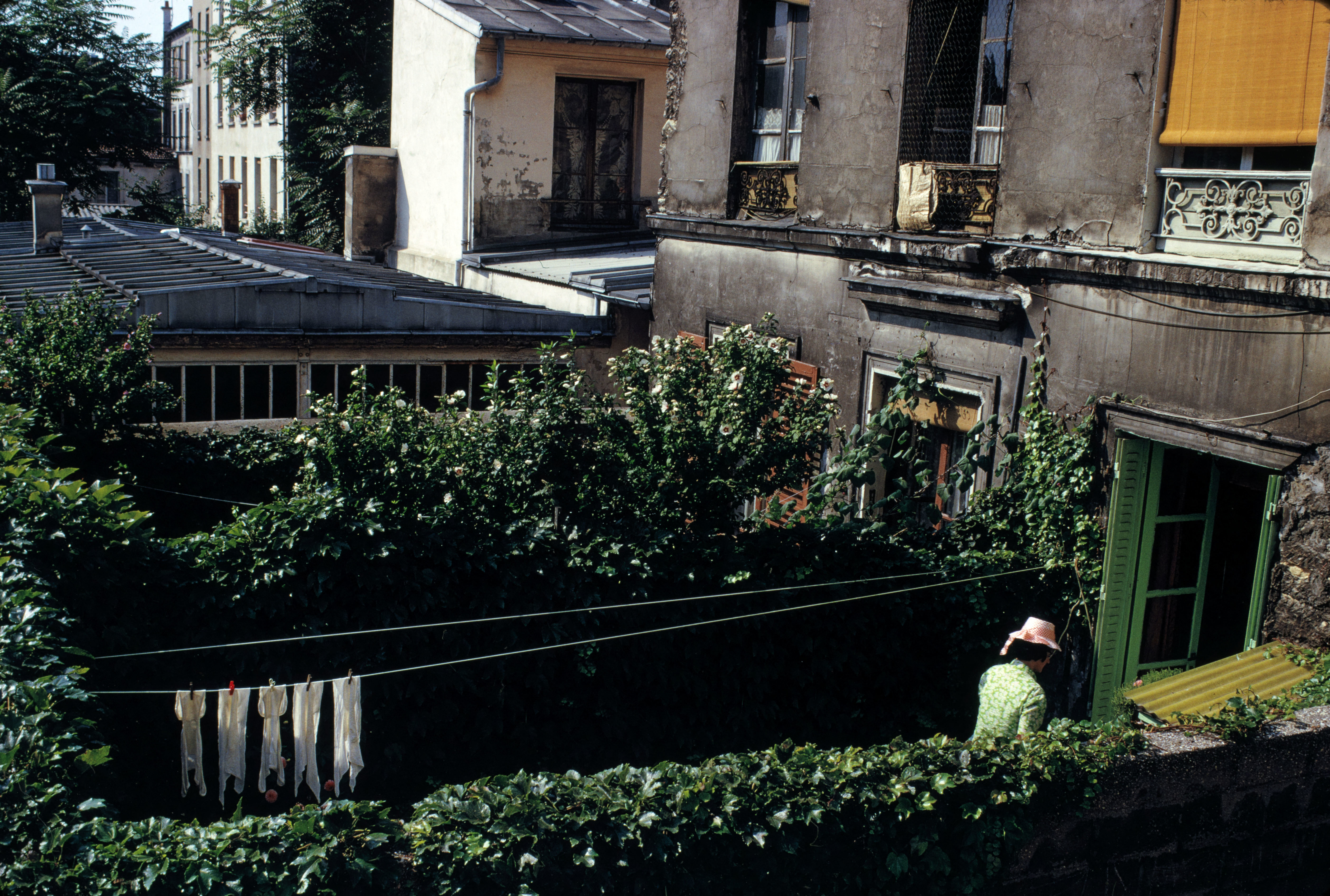 Photo argentique représentant une cour d'appartement verdoyante