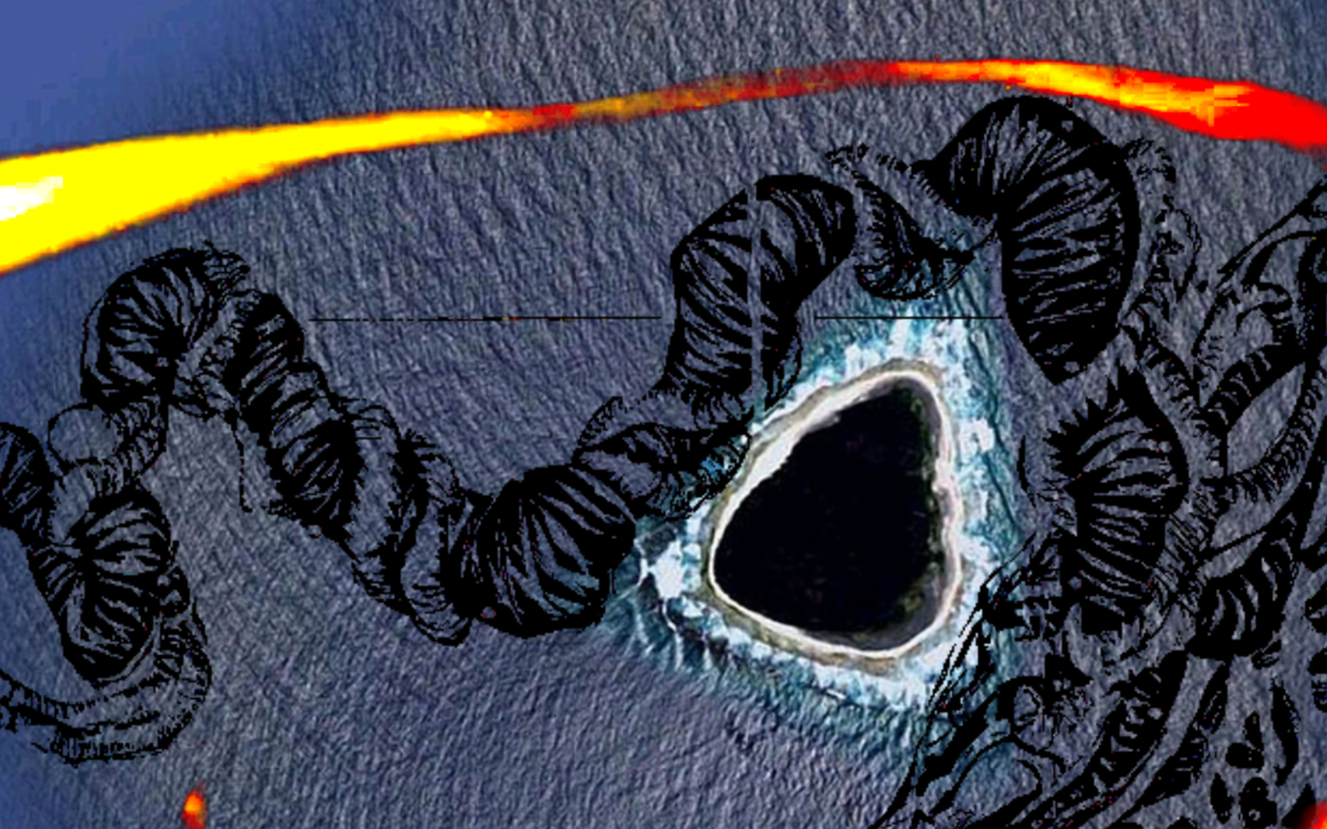 Visuel Arrière-faix