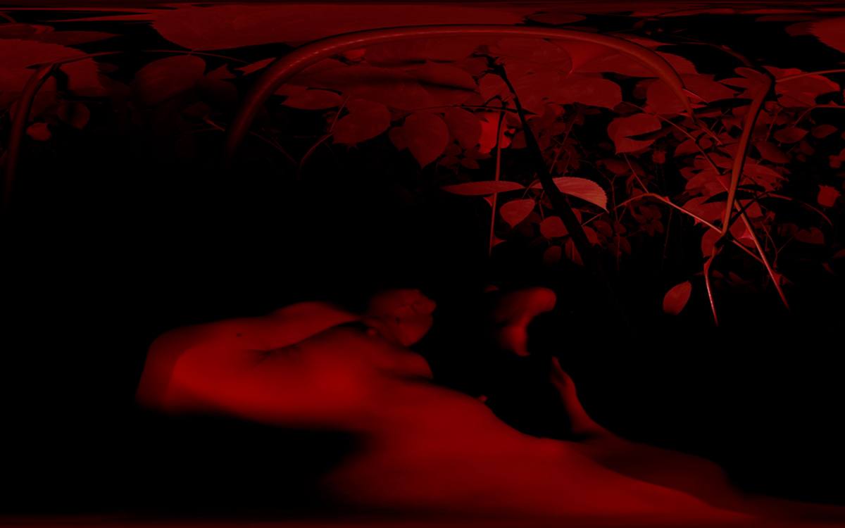 Red - Medea Electronique