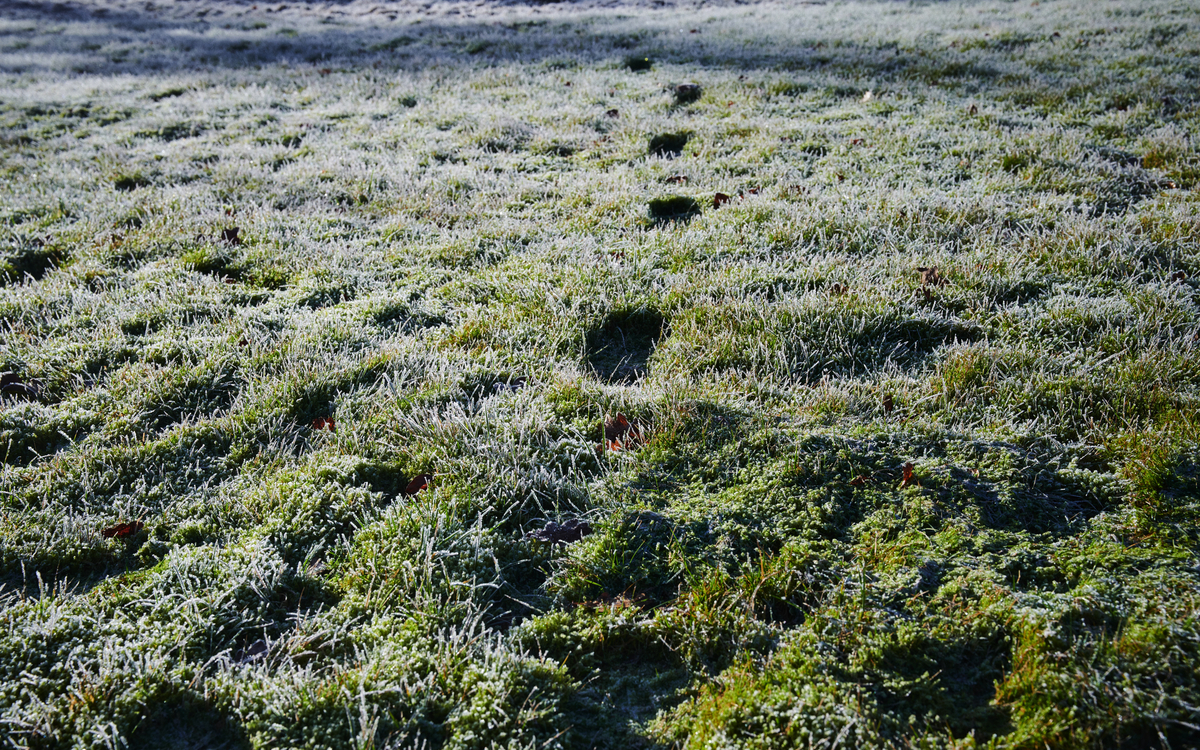 L'office — Sophie Sénécaut