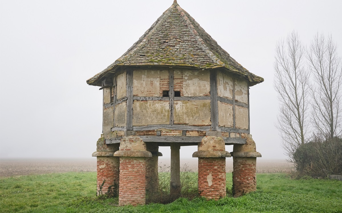 Pigeonniers  Sénestis, Marmandais, 2022 © Eric Tabuchi et Nelly Monnier