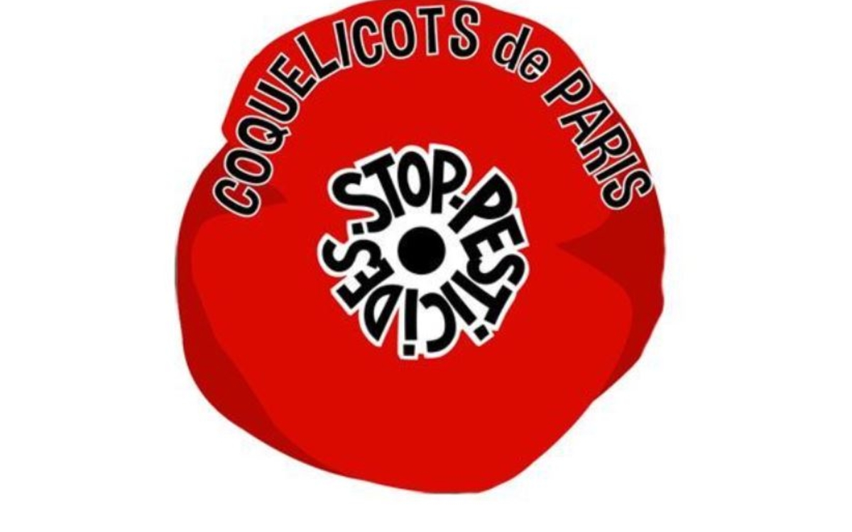 dessin de coquelicot