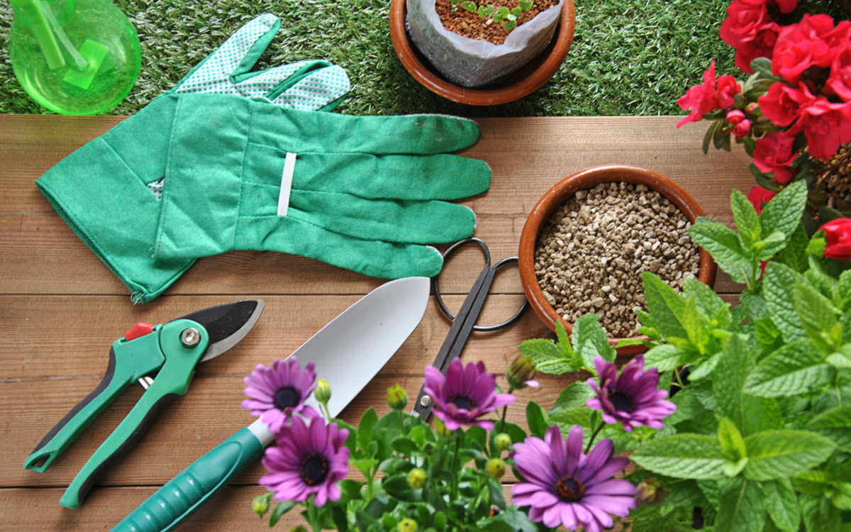 Le rendez-vous du jardinier Du 19 au 26 sept 2024