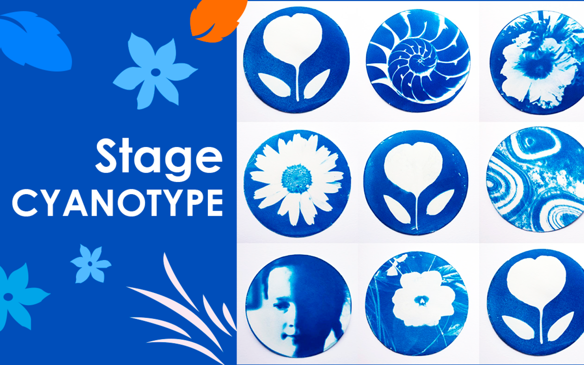 Stage de cyanotype