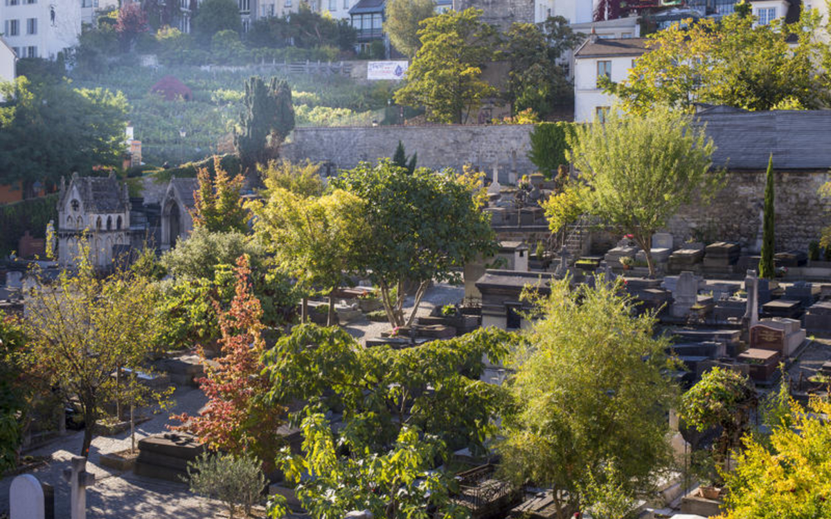 Vue du paysage arboré du cimetière de Saint-Vincent  