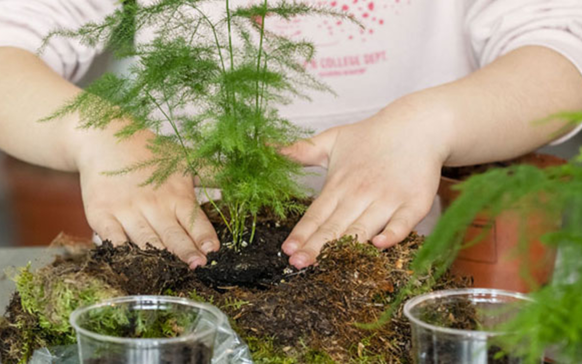 mains d'enfant et remportage