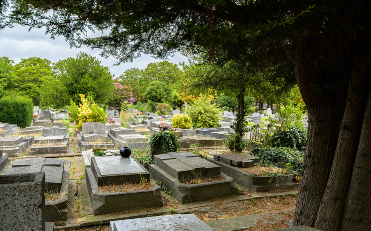 vue de quelques tombes du cimetière, derrière lesquelles on peut voir des bosquets, le cimetière comptant plus de 2000 arbres