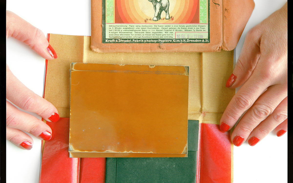 Laurent Montaron, "Papier insolé Éléphants", 2024,  photographie, tirage pigmentaire sur papier FineArt Baryta Hahnemühle, 135 x 105 cm