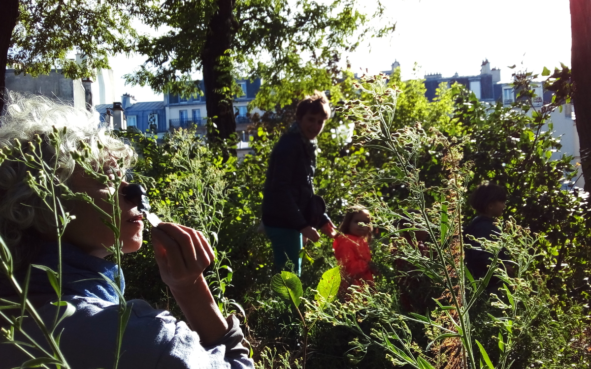 Jardin sauvage artistique invitant à une rencontre entre un public avec de très jeunes enfants et des artistes du spectacle vivant... 