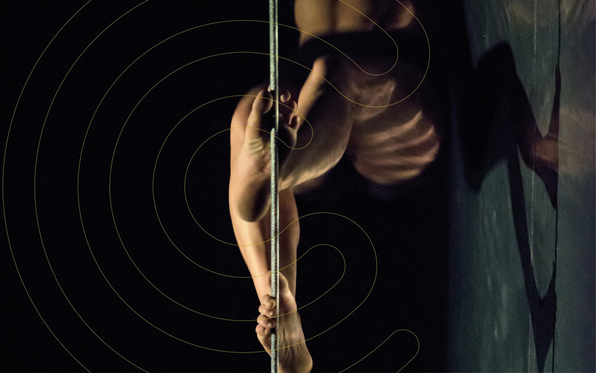 Révélations circusnext 2024