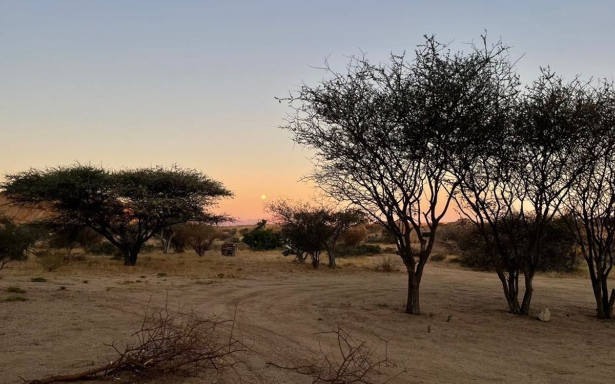 ART TALK Karen Blixen Le Bicolore Maison du Danemark