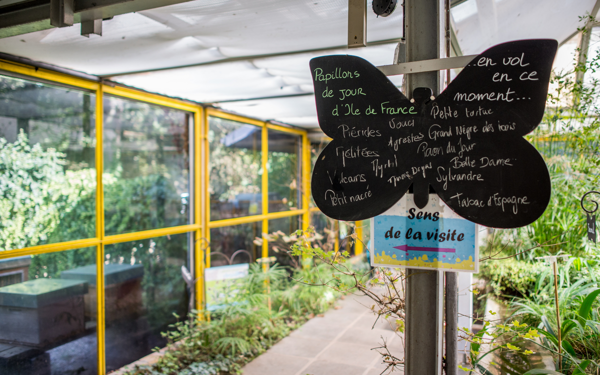 2024 07 23 Les coulisses du Jardin des papillons  ©_Christophe_Noel_-_Pavillon_des_papillons