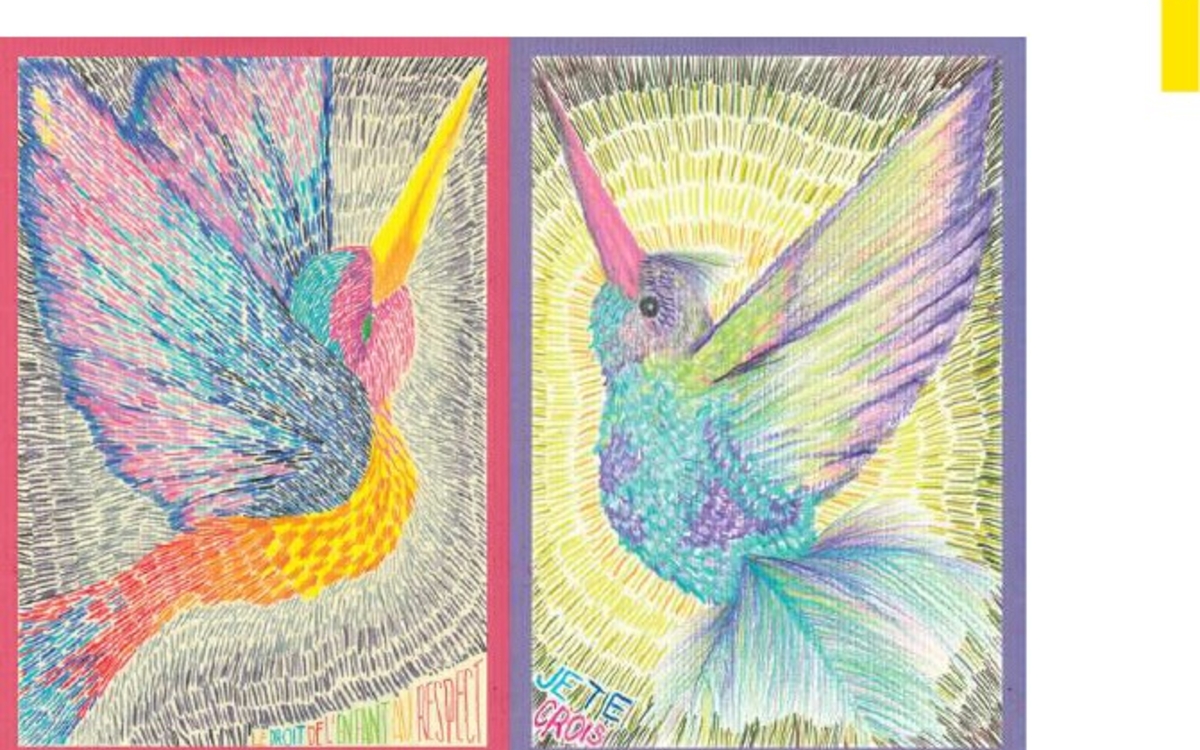 oiseaux