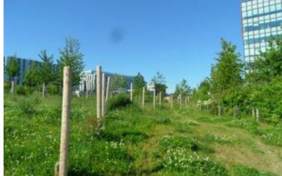 Conférence sur la gestion écologique des jardins de Paris à la bibliothèque Andrée Chedid