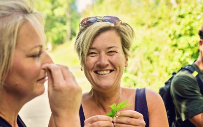 Apprenez à reconnaître les plantes sauvages comestibles et médicinales du Bois de Vincennes avec Isabelle Desfleurs