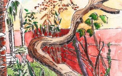 Dessin d'un arbre et de végétaux à la main