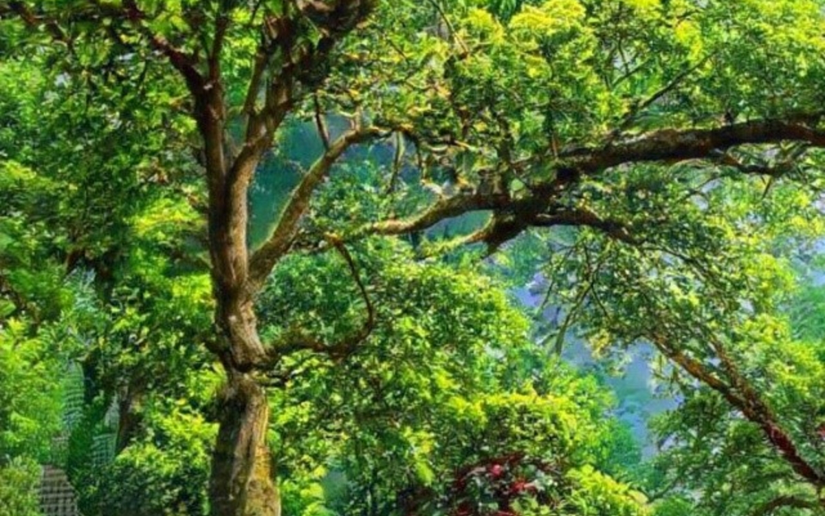 2024 09 22 Intelligence artificielle