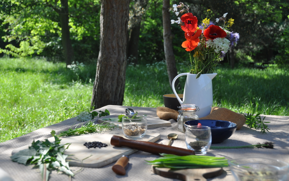 balade nature, caucalis, plantes sauvages, atelier