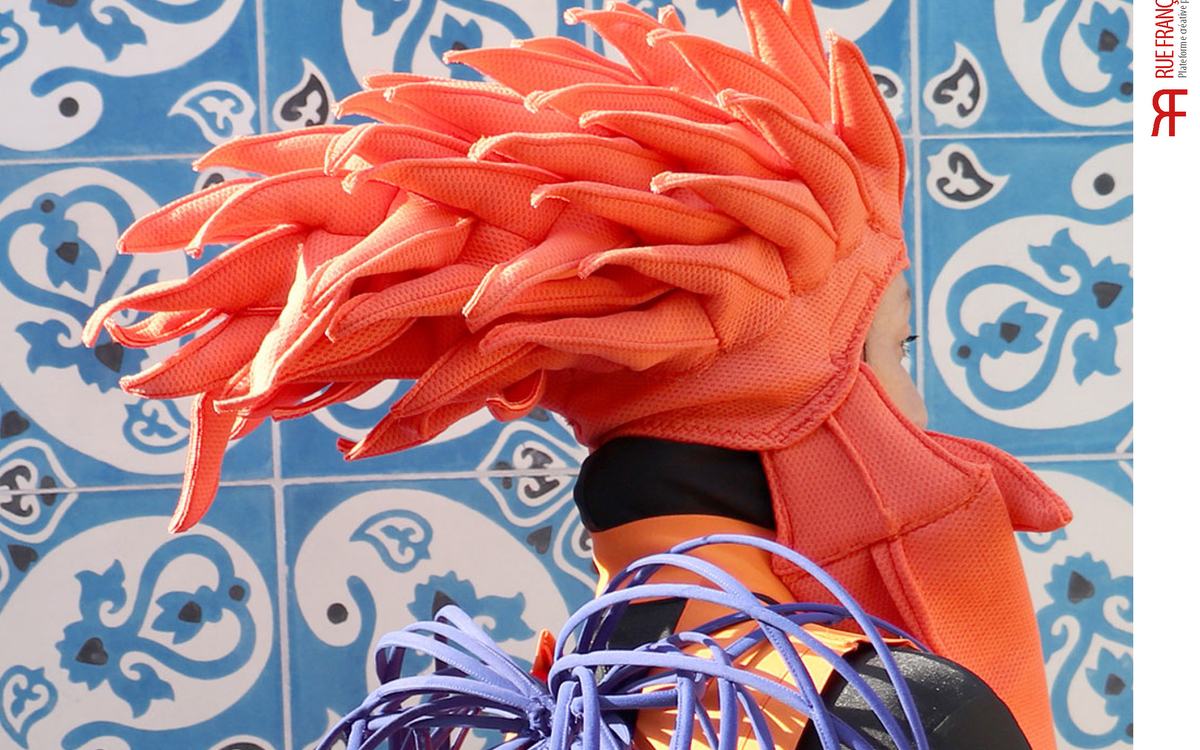 Zoographie & métamorphoses