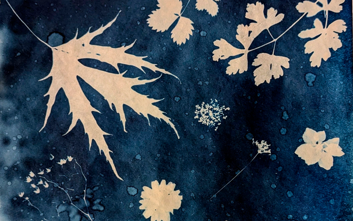 Cyanotype