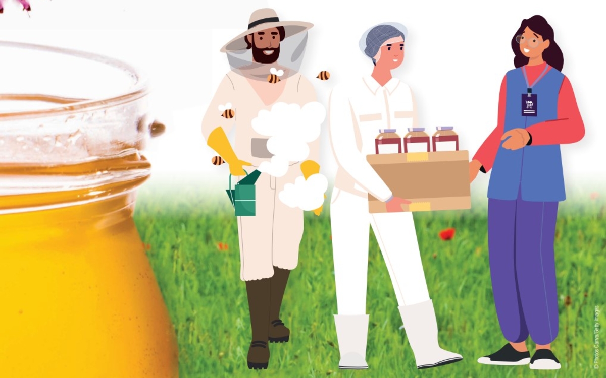 personnages dessinés du monde apicole
