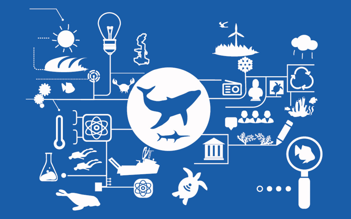 Sciences et animaux marins sur fond bleu
