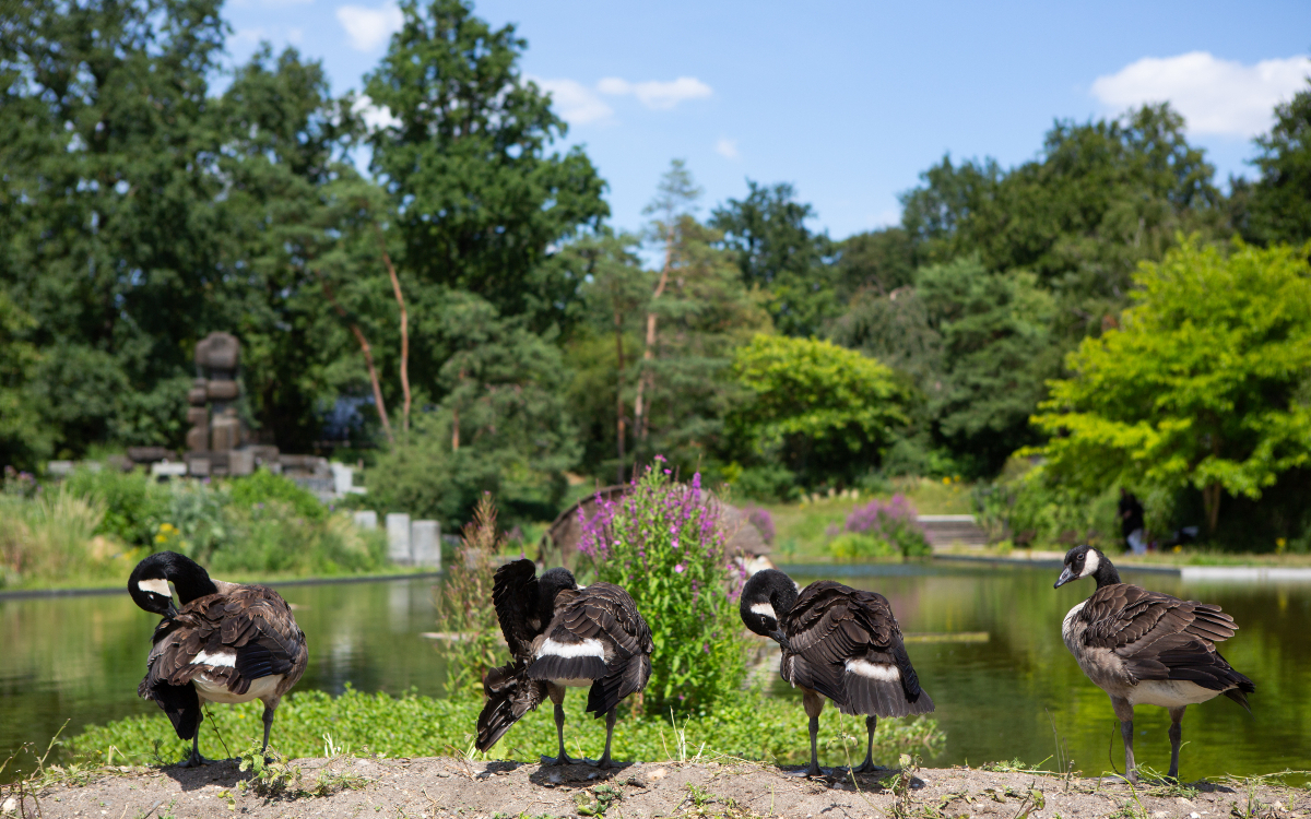 Le Village Botanique au Parc Floral