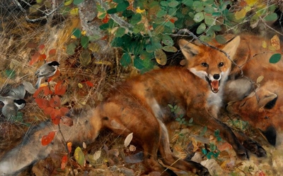 peinture représentant un renard