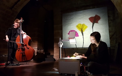 Retour des fleurs - conte musical en théâtre d'ombres par la Compagnie Les Parlophones