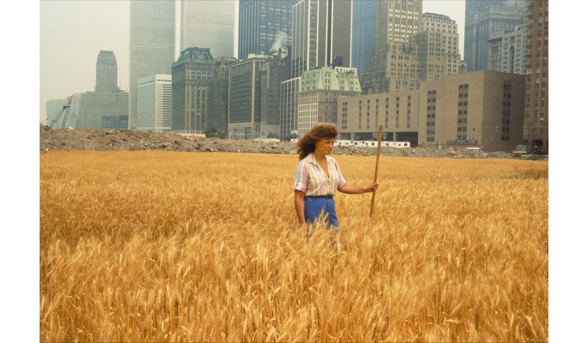 femme au milieu d'un champ de blé