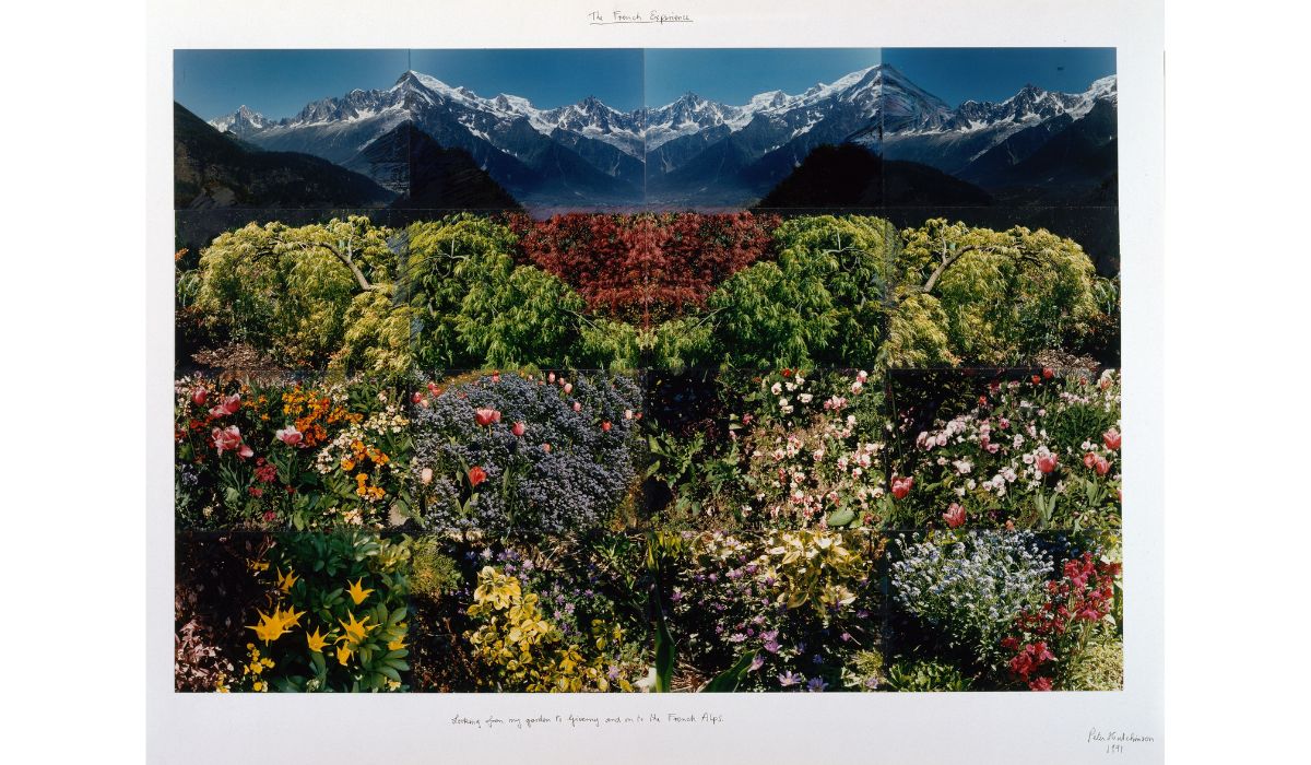 collage de fleurs sur des montagnes