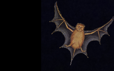 visuel visite guidée nocturne tour jean sans peur chauve souris