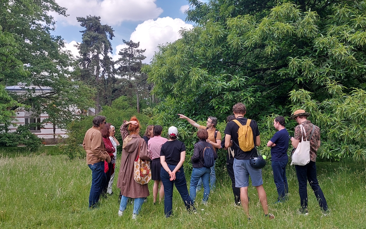 Balade botanique : plantes sauvages, comestibles et toxiques (1/1)