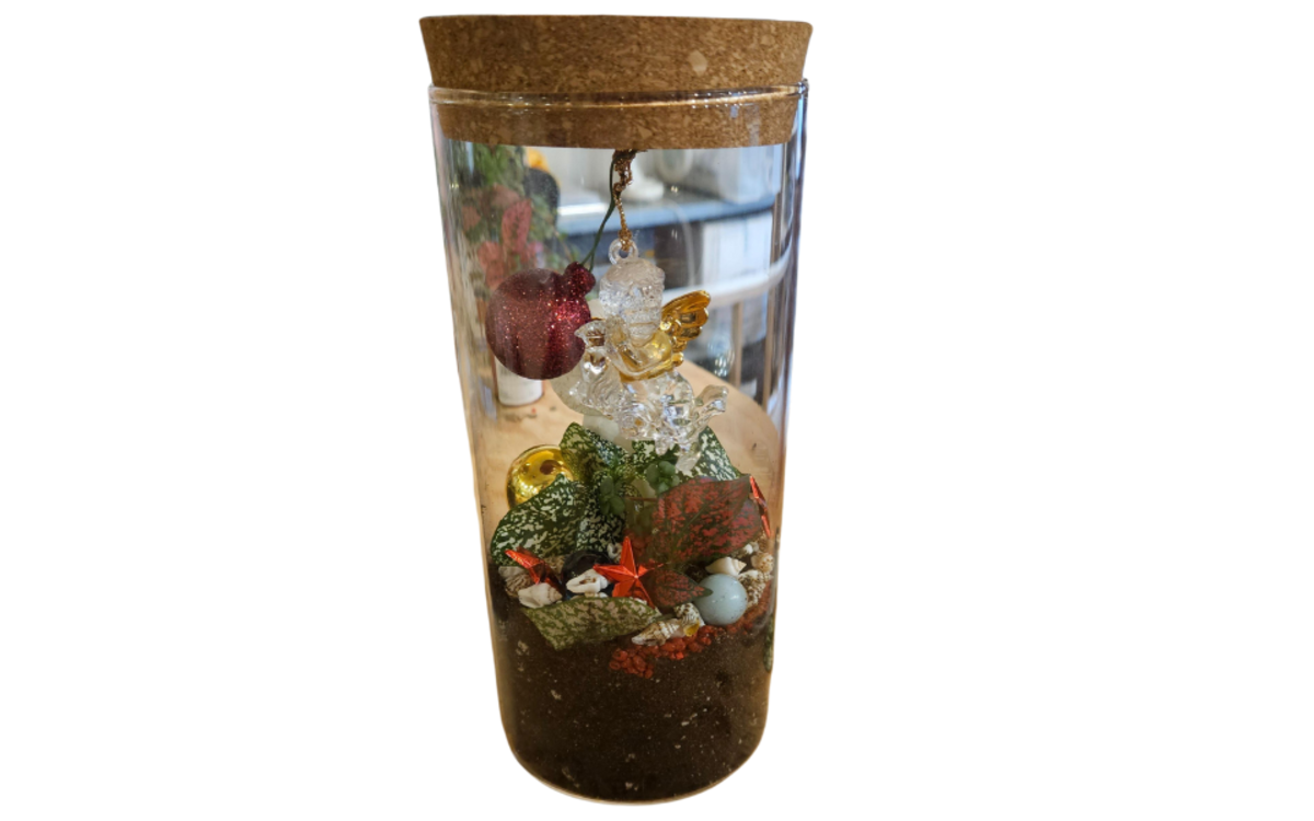 Atelier terrarium de Noël parent-enfant (1/1)