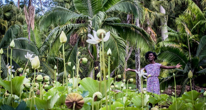  personne debout dans un cadre naturel luxuriant, entourée de grandes plantes de lotus et de palmiers