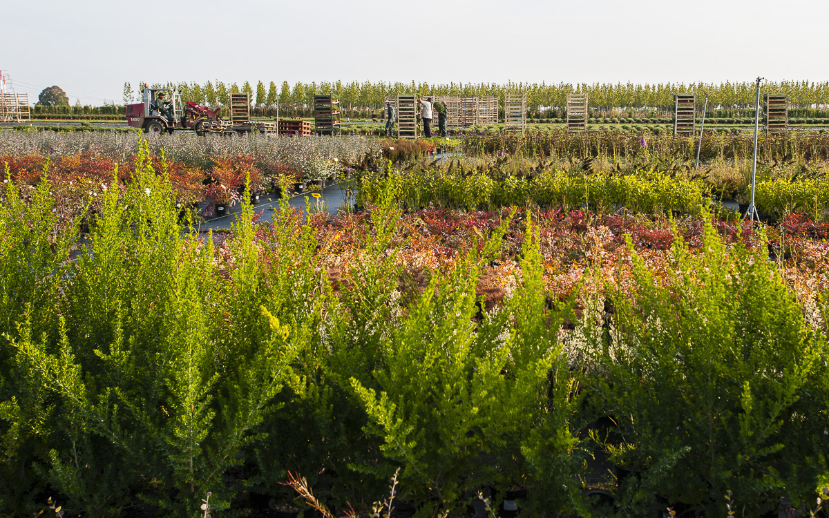 Vue printanière du Centre horticole de Rungis