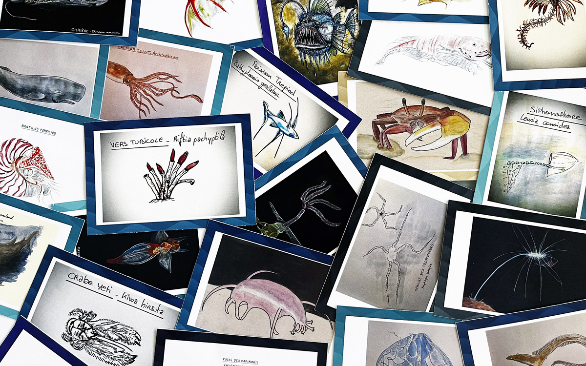 Espèces sous marines