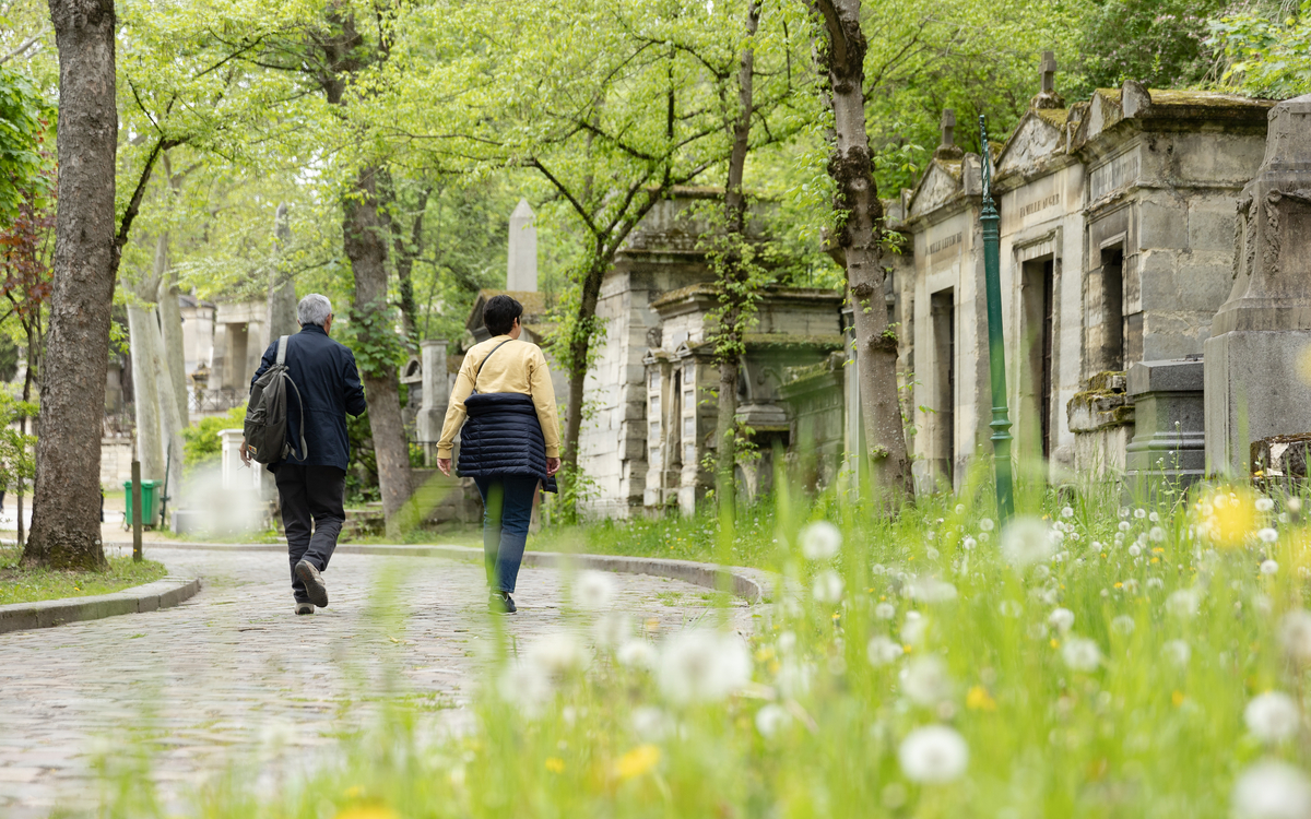 Affiche de l'évènement : Printemps des cimetières : Bizetdiversité