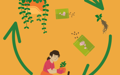 image illustrant le troc de graines