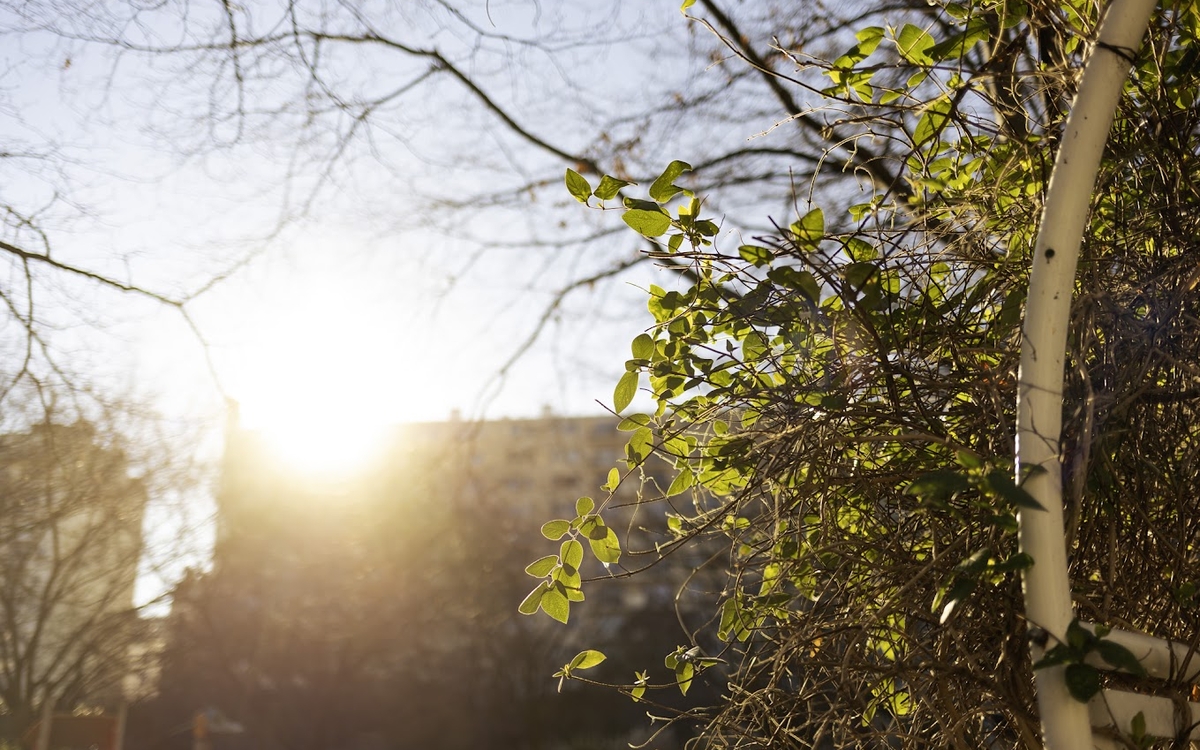 Rayon de soleil en hiver